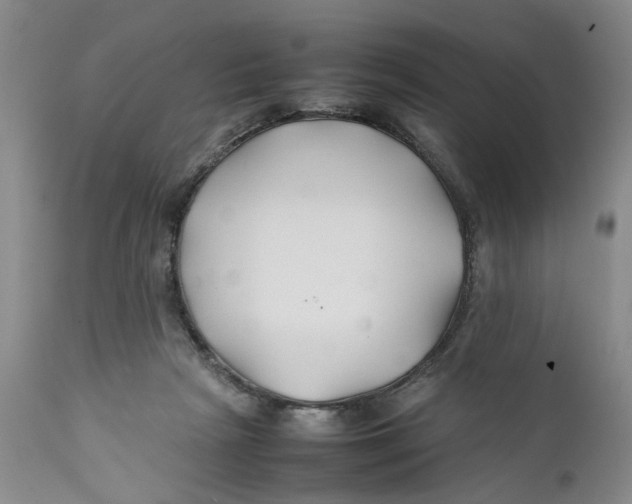 X0000112370265200909101329