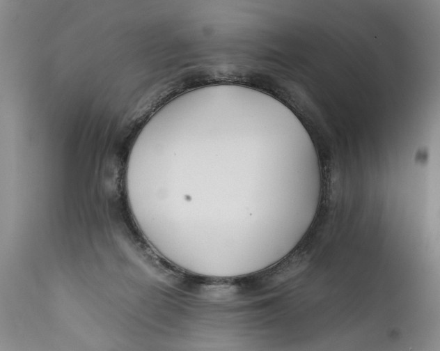 X0000112370266200909101329