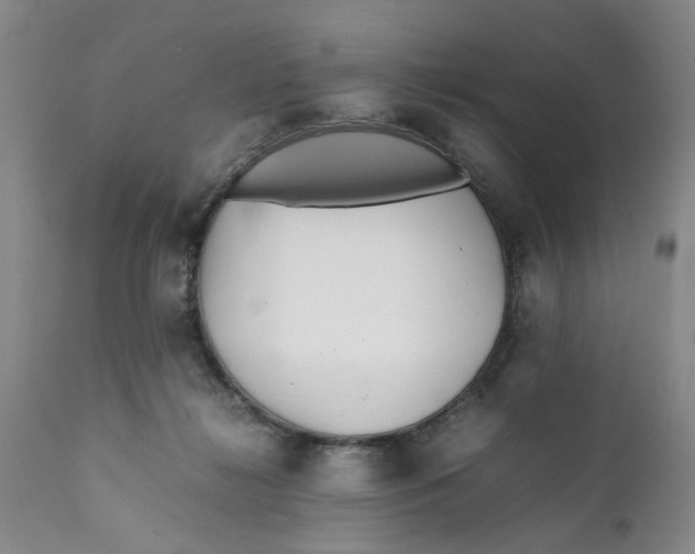 X0000112370268200909101329