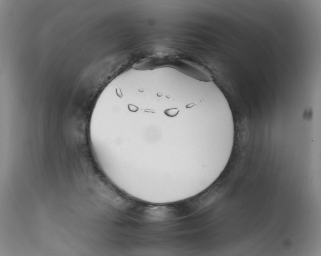 X0000112370269200909101329