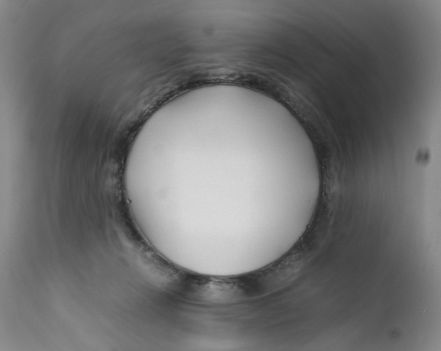 X0000112370270200909101329