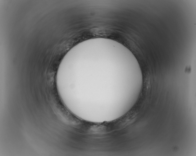 X0000112370271200909101329