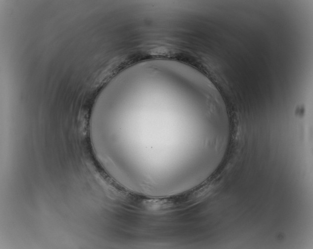 X0000112370273200909101329
