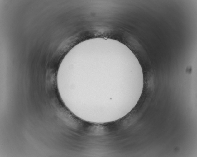 X0000112370276200909101329