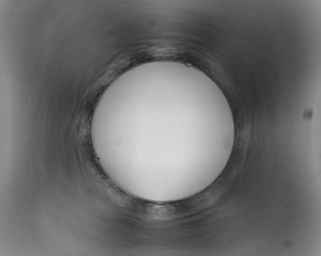 X0000112370277200909101329