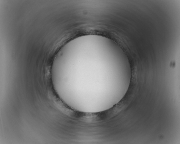 X0000112370278200909101329