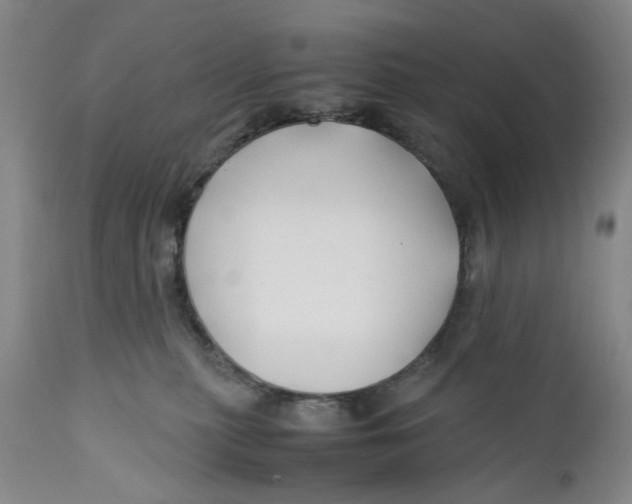 X0000112370279200909101329