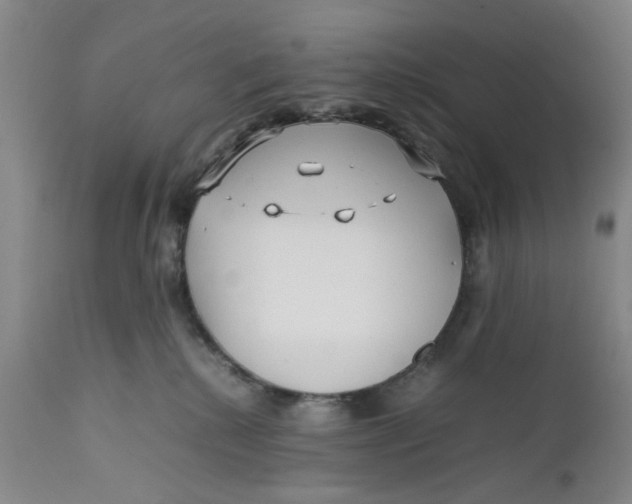 X0000112370280200909101329