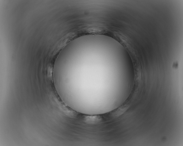 X0000112370281200909101329