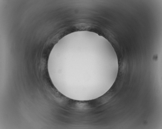 X0000112370283200909101329