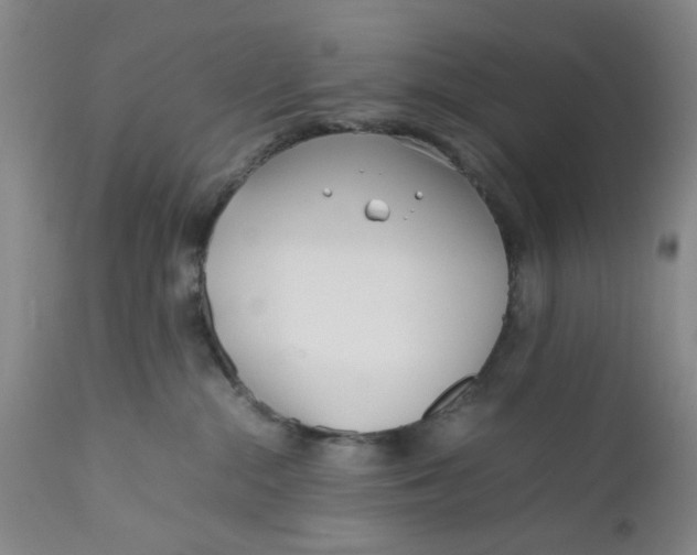 X0000112370284200909101329