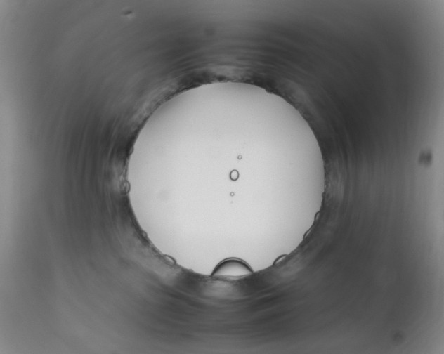 X0000112370285200909101329
