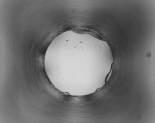 X0000112370286200909101329