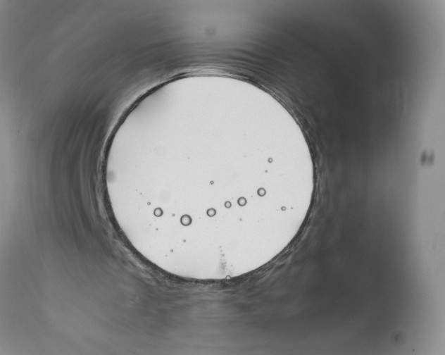 X0000112370289200909101328