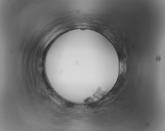 X0000112370291200909101328