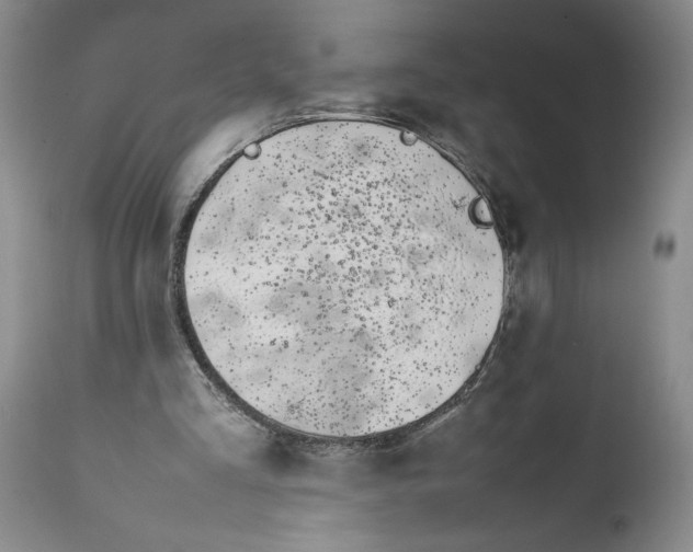 X0000112370293200909101328