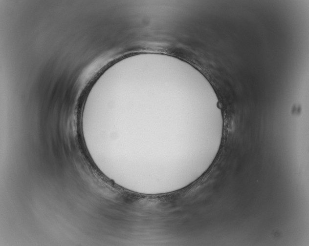X0000112370294200909101328