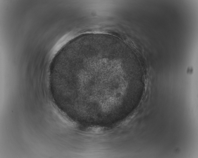 X0000112370295200909101328