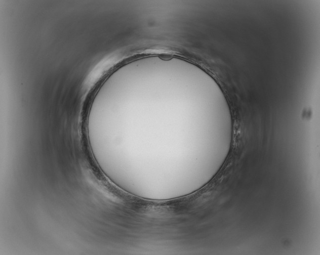 X0000112370296200909101328