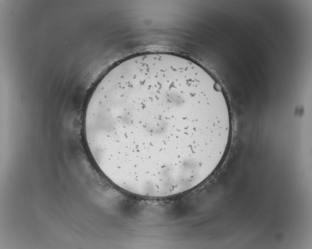 X0000112370297200909101328