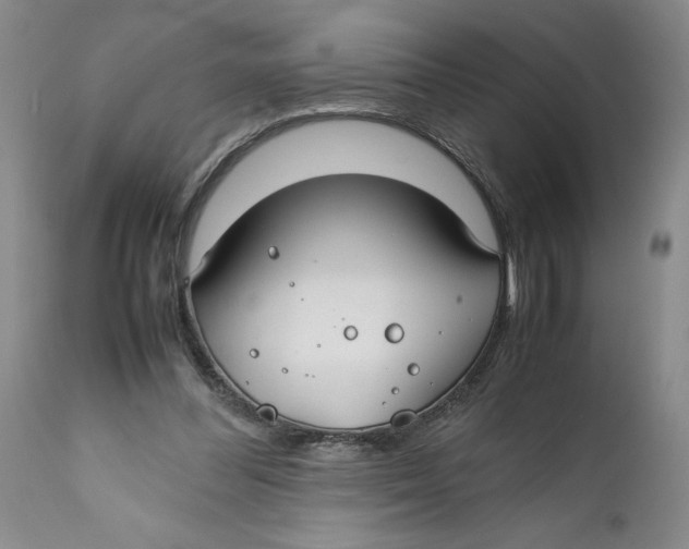 X0000112370300200909101328