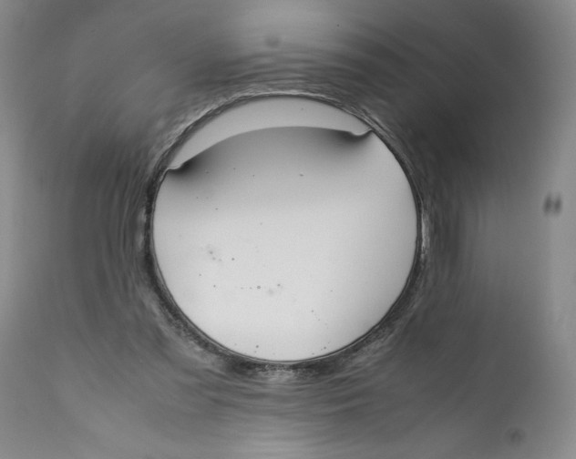 X0000112370301200909101328