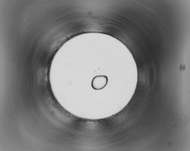 X0000112370302200909101328