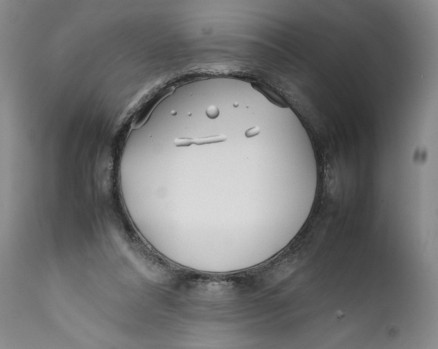 X0000112370304200909101328