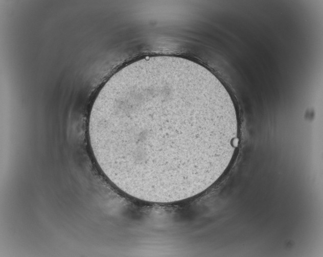 X0000112370305200909101328