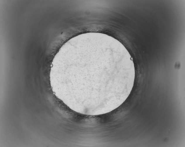 X0000112370307200909101328