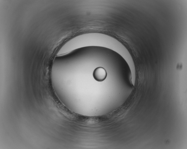 X0000112370308200909101328