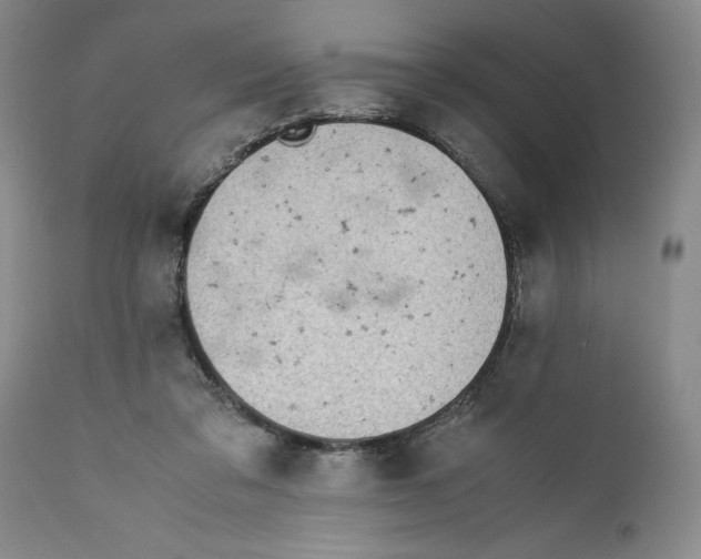 X0000112370309200909101328