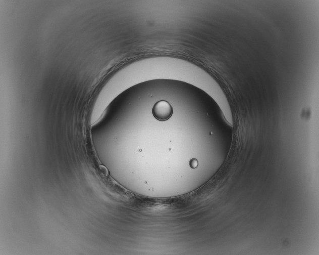 X0000112370312200909101328