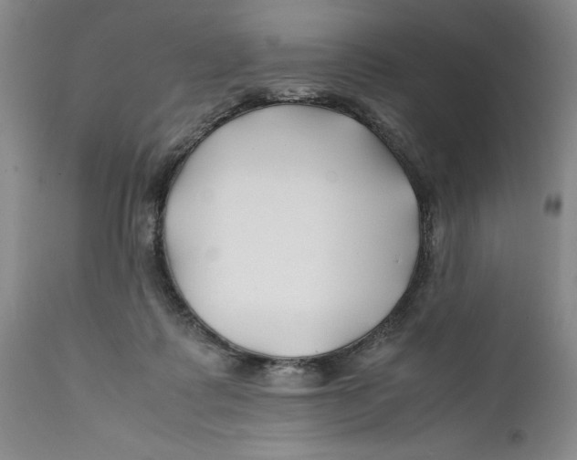 X0000112370315200909101328