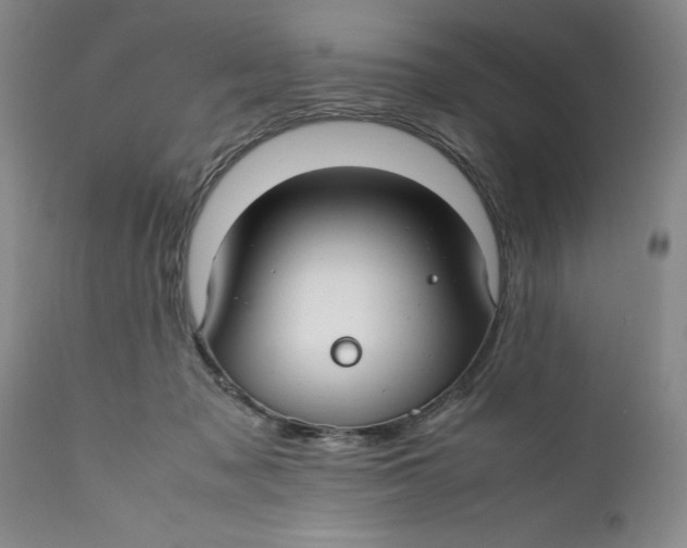 X0000112370317200909101328