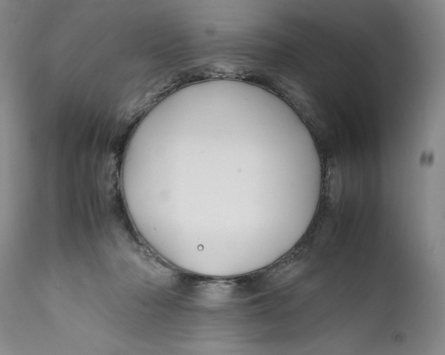 X0000112370318200909101328