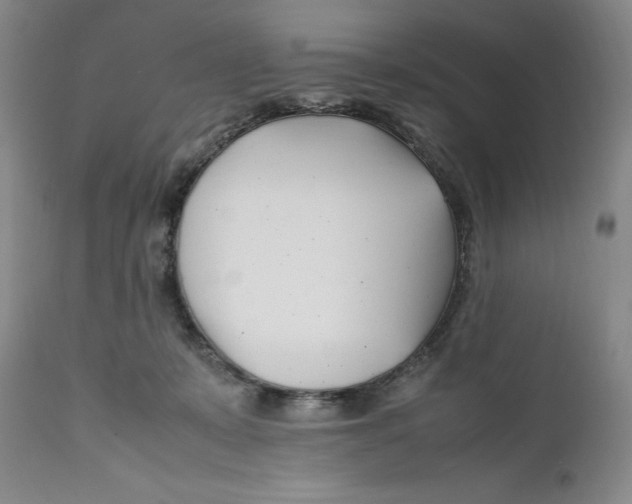 X0000112370319200909101328