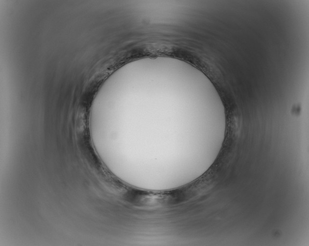 X0000112370323200909101328