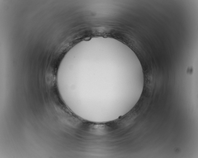 X0000112370324200909101328