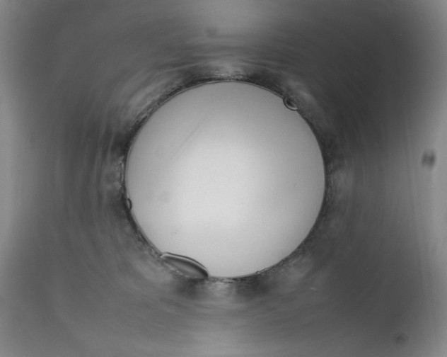 X0000112370325200909101328