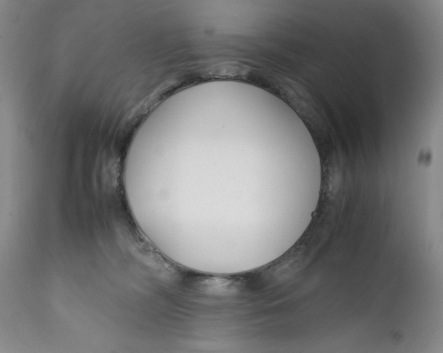X0000112370326200909101328
