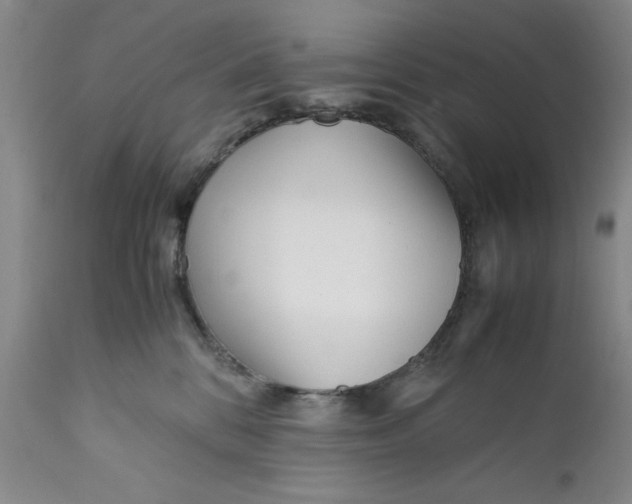 X0000112370328200909101328
