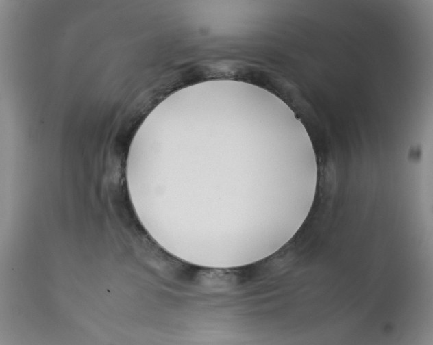 X0000112370331200909101328