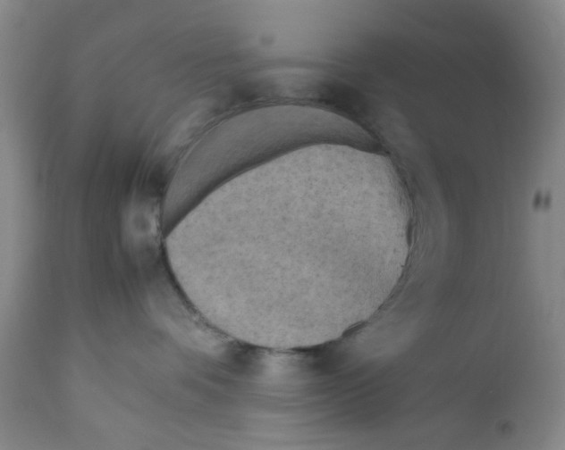 X0000112370336200909101328