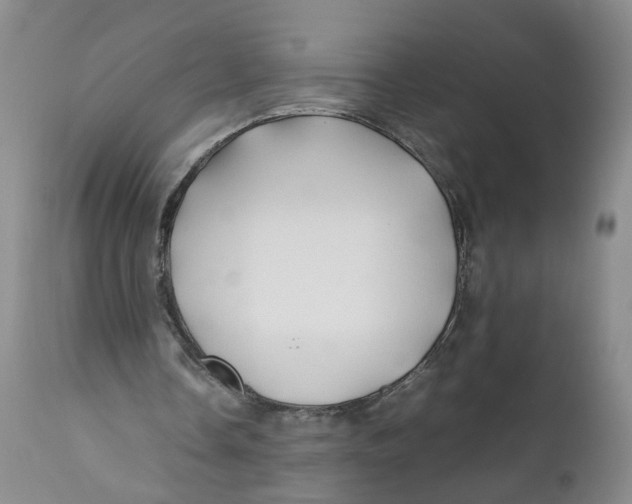 X0000112370338200909101327