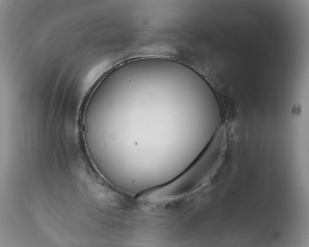 X0000112370340200909101327