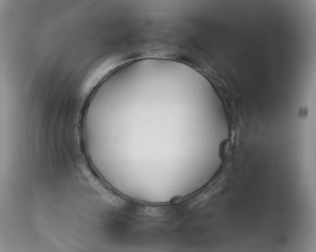 X0000112370341200909101327