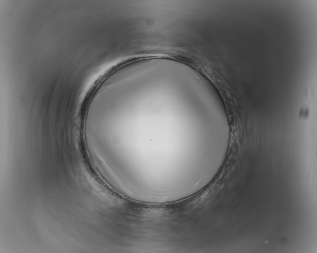 X0000112370342200909101327