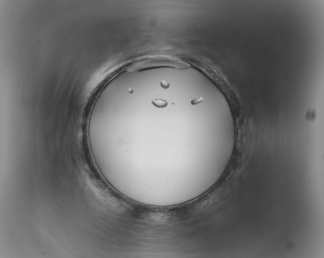 X0000112370344200909101327