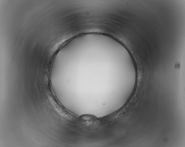 X0000112370345200909101327